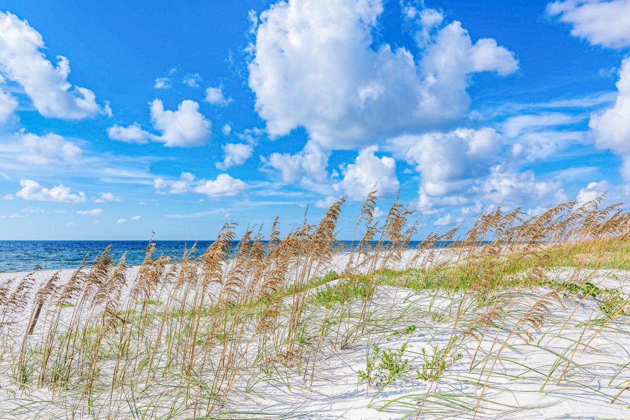 Perdido Skye 12 Daire Perdido Key Dış mekan fotoğraf